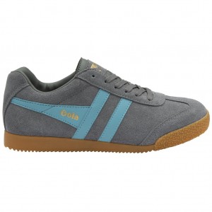 Gola Classics Harrier Suede Sneakers Ash Ocean Mexico | TPZ-857926