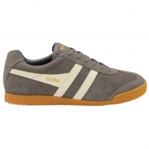 Gola Classics Harrier Suede Sneakers Ash Ecru Mexico | UXW-580173