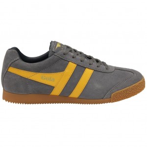 Gola Classics Harrier Suede Sneakers Azul Marino Mexico | MRP-389605