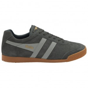 Gola Classics Harrier Suede Sneakers Grises Claro Azul Marino Mexico | VCA-029375
