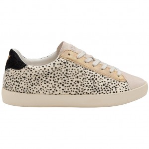 Gola Classics Nova Oasis Sneakers Blancos Mexico | RPL-165239