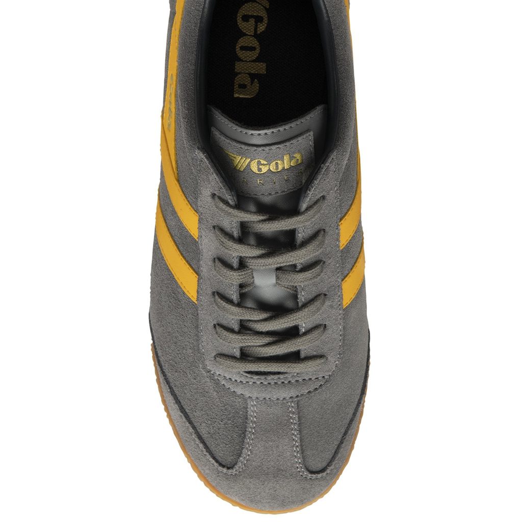 Gola Classics Harrier Suede Sneakers Azul Marino Mexico | MRP-389605